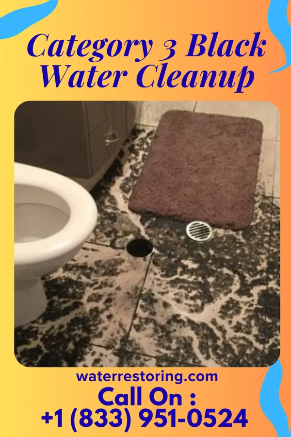 Category 3 Black Water Cleanup in Harrisville, WV