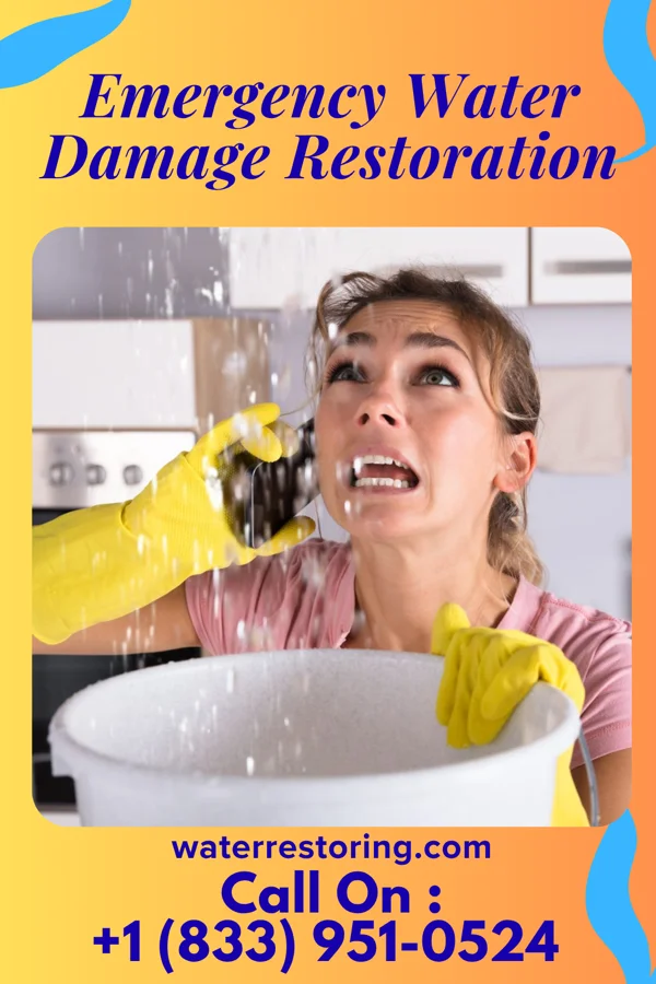 Emergency Water Damage Restoration in Harrisville, WV