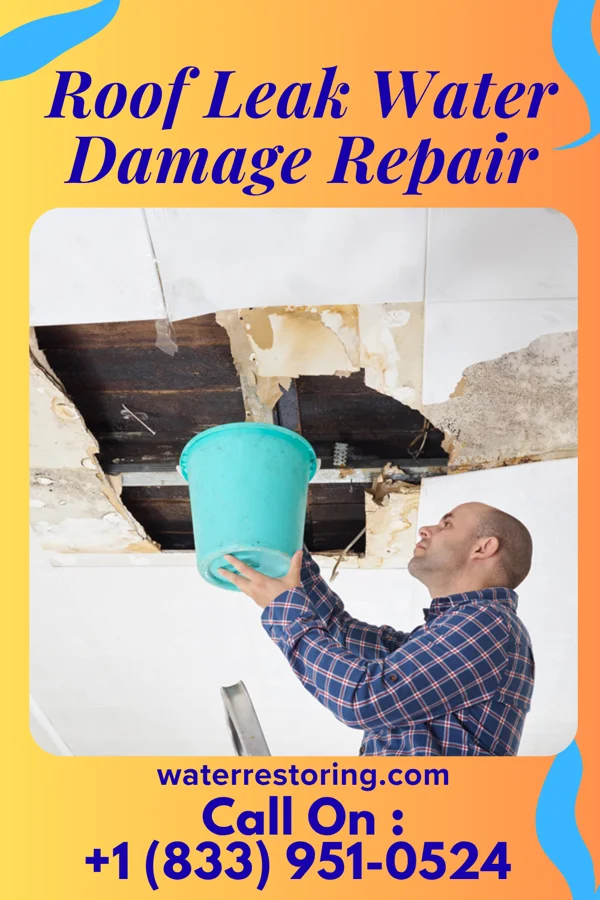 Roof Leak Water Damage Repair in Harrisville, WV