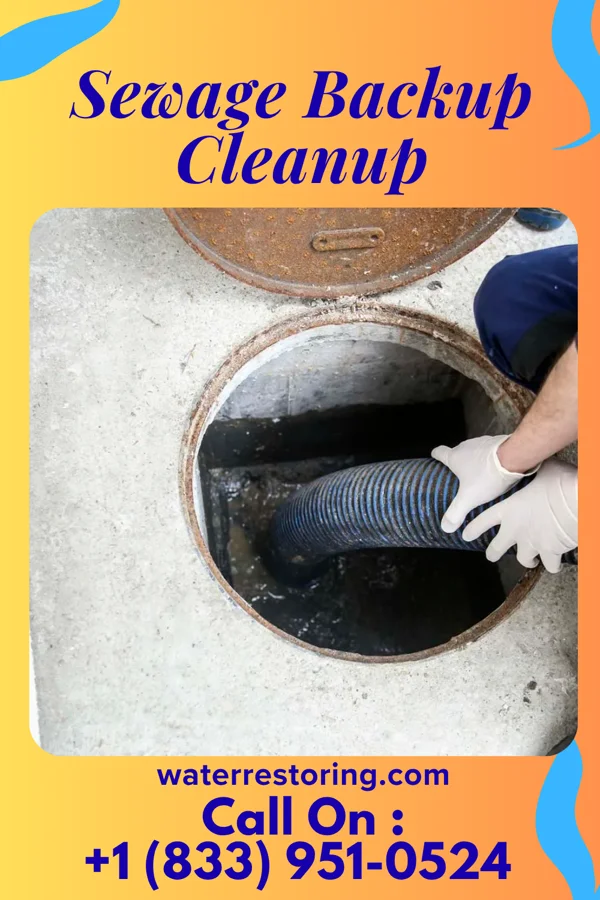 Sewage Backup Cleanup in Harrisville, WV