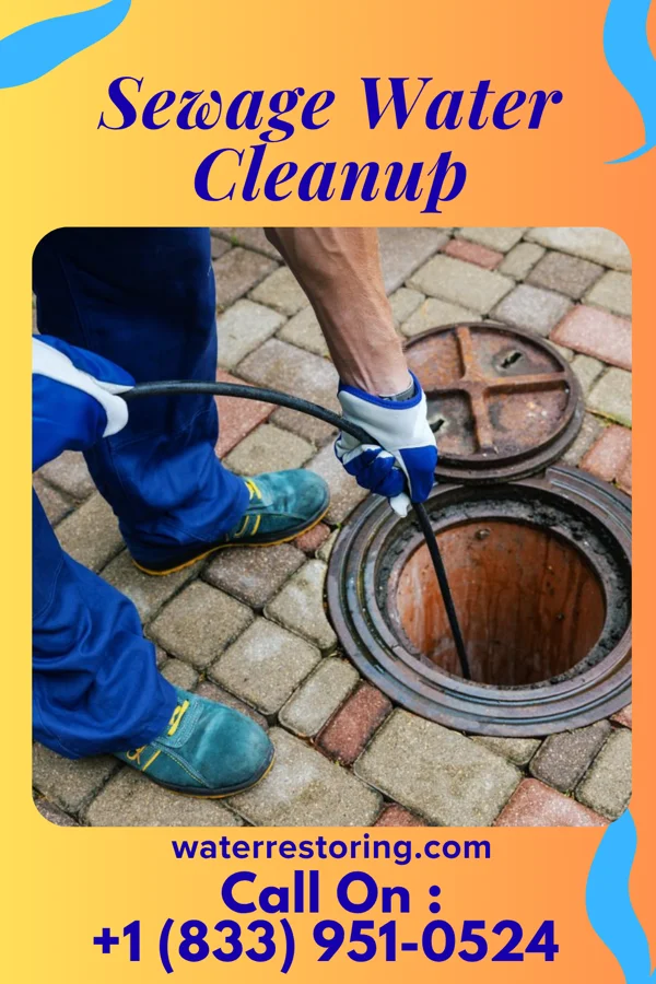 Sewage Water Cleanup in Harrisville, WV
