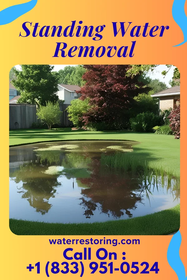 Standing Water Removal in Harrisville, WV